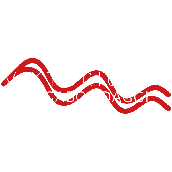 VAGABONDAGGI